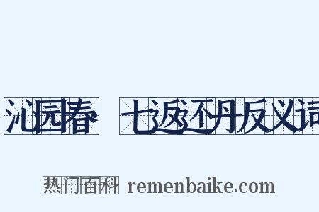 沁园春·七返还丹反义词是什么意思的图片